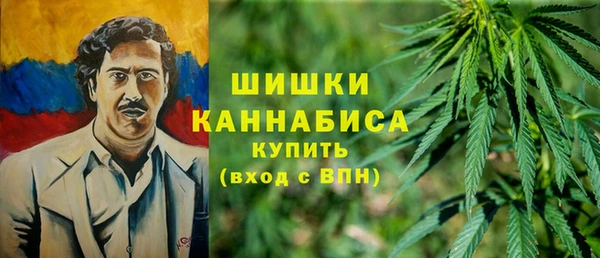 прущий лед Вязьма